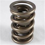 PAC 1200 Series Circle Track Springs