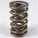 PAC 1300 Series Circle Track Springs 