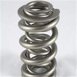 PAC Valve Springs