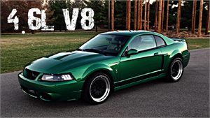 4.6L V8