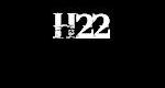 H22 Bearings