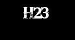 H23 Pistons
